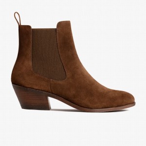 Thursday Boots Duchess Bootie Women Chelsea Boots Chocolate | SCC7049NA