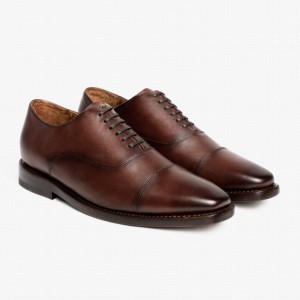 Thursday Boots Executive Men Dress Shoes Brown | WZC7663GT