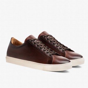 Thursday Boots Premier Men Low-Top Sneakers Coffee | UZS7818DH