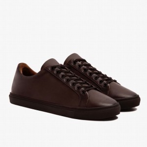 Thursday Boots Premier Men Low-Top Sneakers Old English | HXD2084OC