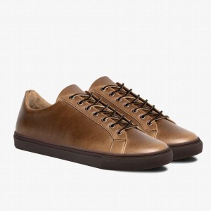 Thursday Boots Premier Men Low-Top Sneakers Beige | EXO8736SC