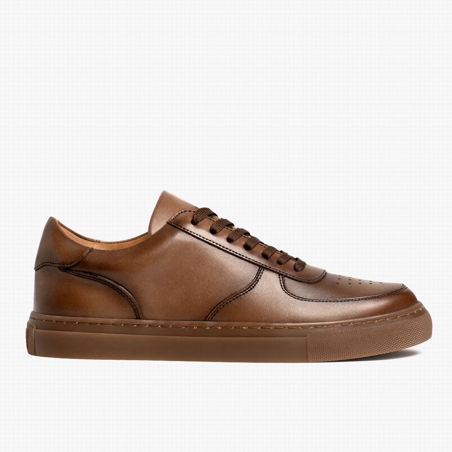 Thursday Boots Court Men Low-Top Sneakers Brown | XBI10048KI