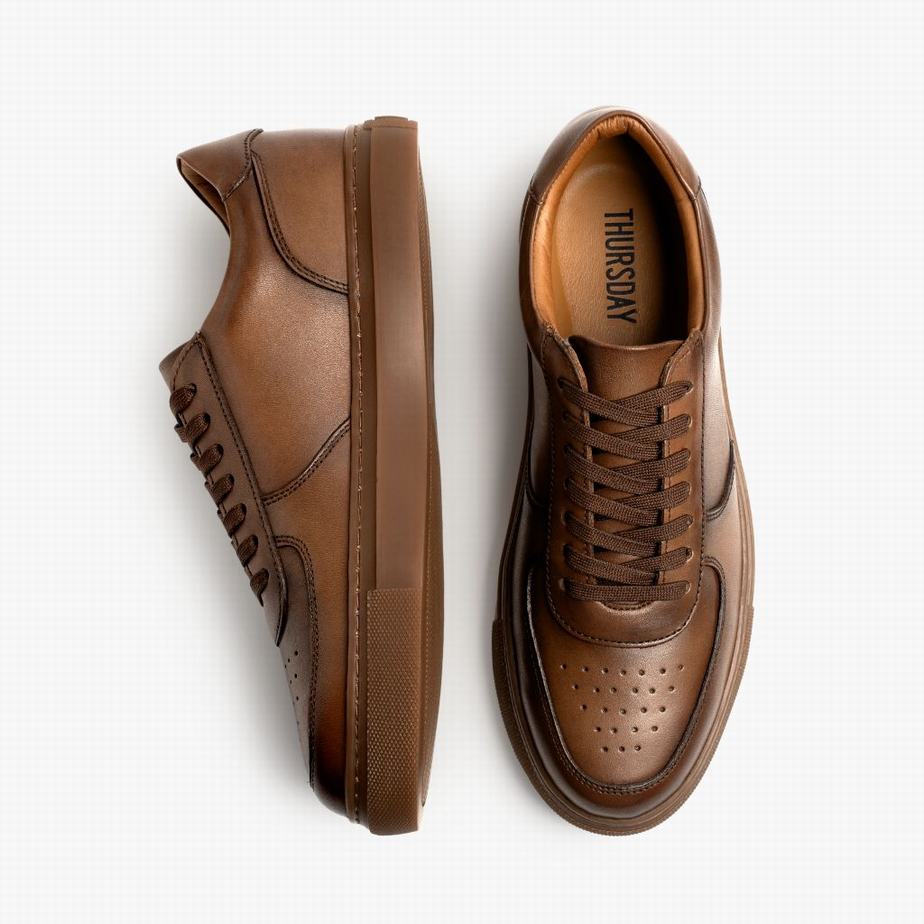 Thursday Boots Court Men Low-Top Sneakers Brown | XBI10048KI