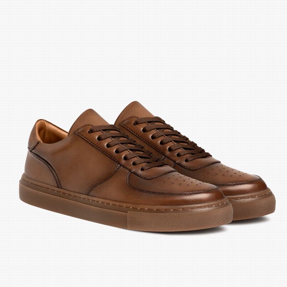 Thursday Boots Court Men Low-Top Sneakers Brown | XBI10048KI