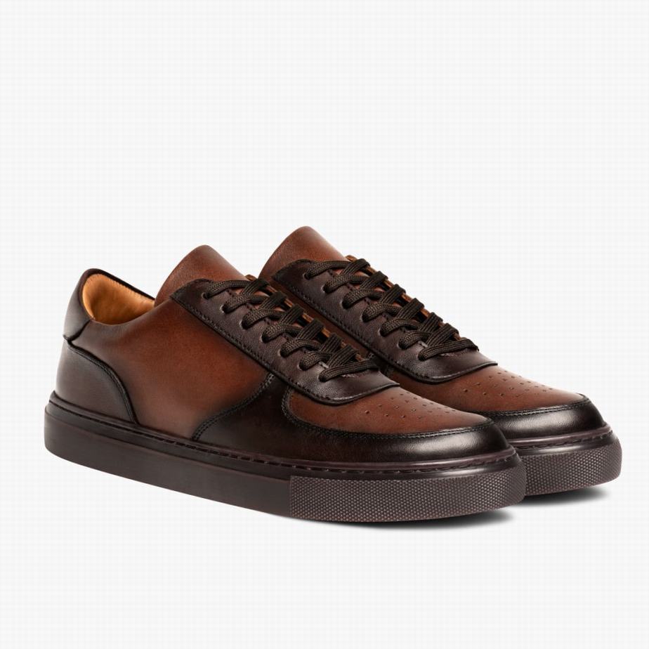 Thursday Boots Court Men Low-Top Sneakers Mocha Old English | CKM8484BZ