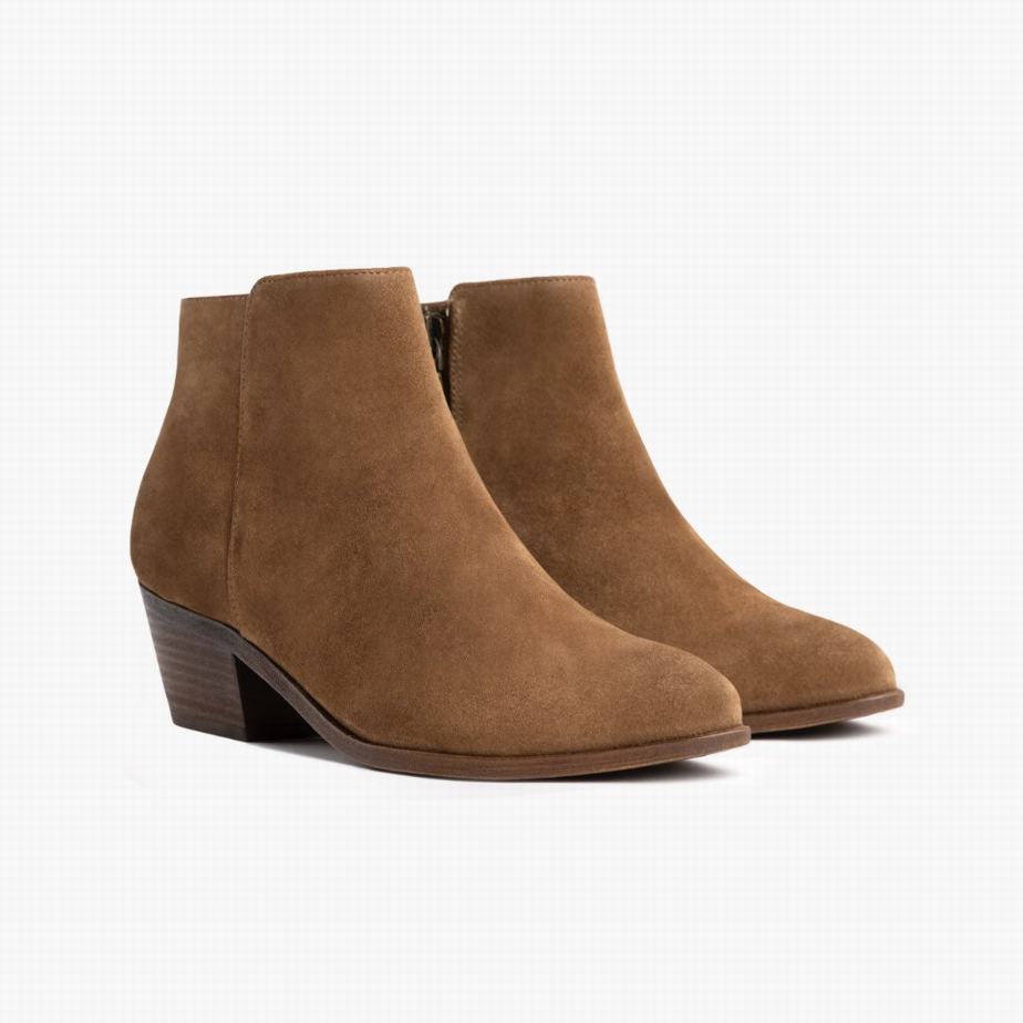 Thursday Boots Downtown Women Booties Brown | RBF9732CQ