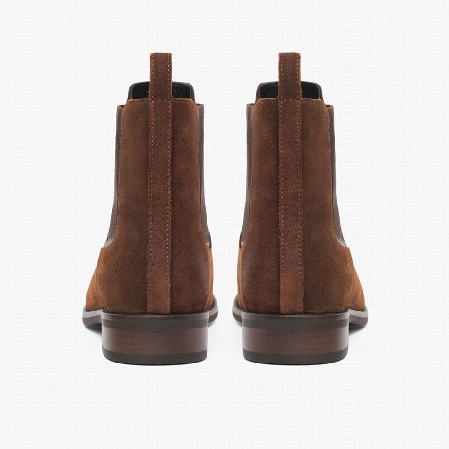 Thursday Boots Duchess Women Chelsea Boots Brown | TJP3322MG