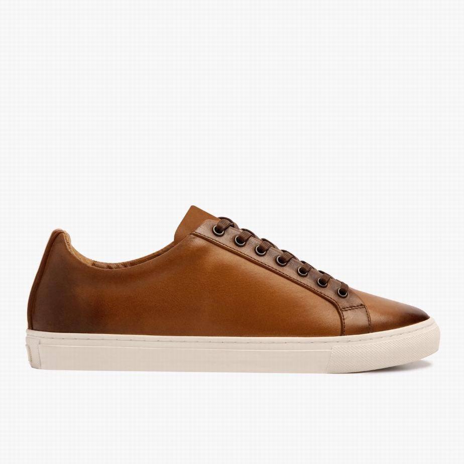 Thursday Boots Premier Men Low-Top Sneakers Toffee | HME9442PR