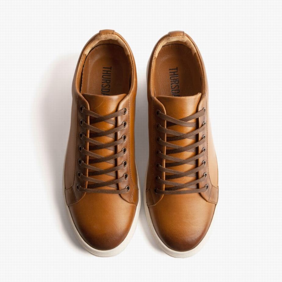 Thursday Boots Premier Men Low-Top Sneakers Toffee | HME9442PR