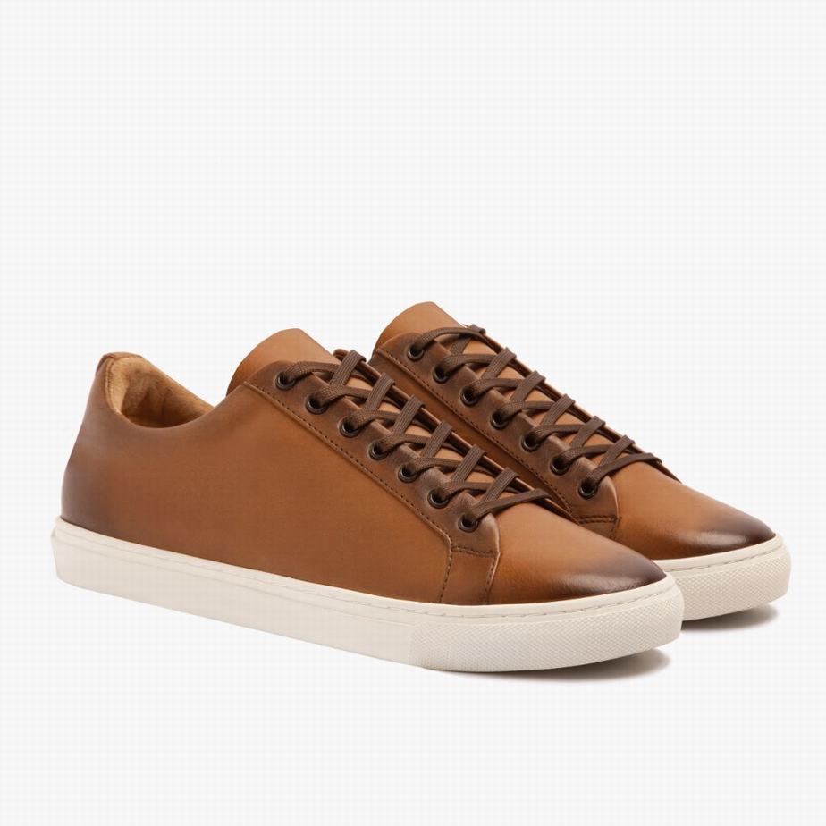 Thursday Boots Premier Men Low-Top Sneakers Toffee | HME9442PR