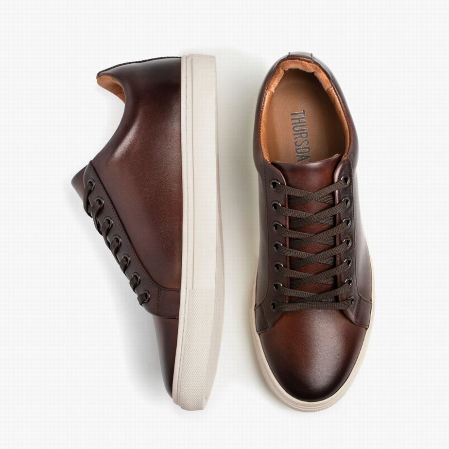 Thursday Boots Premier Men Low-Top Sneakers Coffee | UZS7818DH