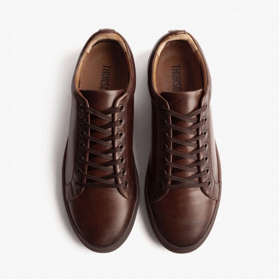 Thursday Boots Premier Men Low-Top Sneakers Old English | HXD2084OC