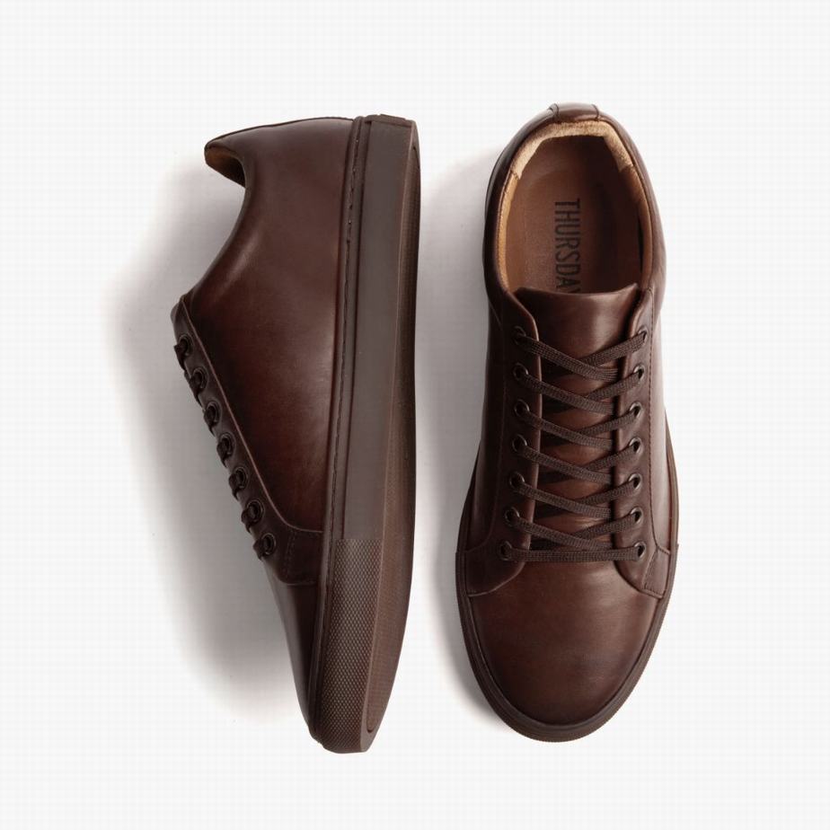 Thursday Boots Premier Men Low-Top Sneakers Old English | HXD2084OC