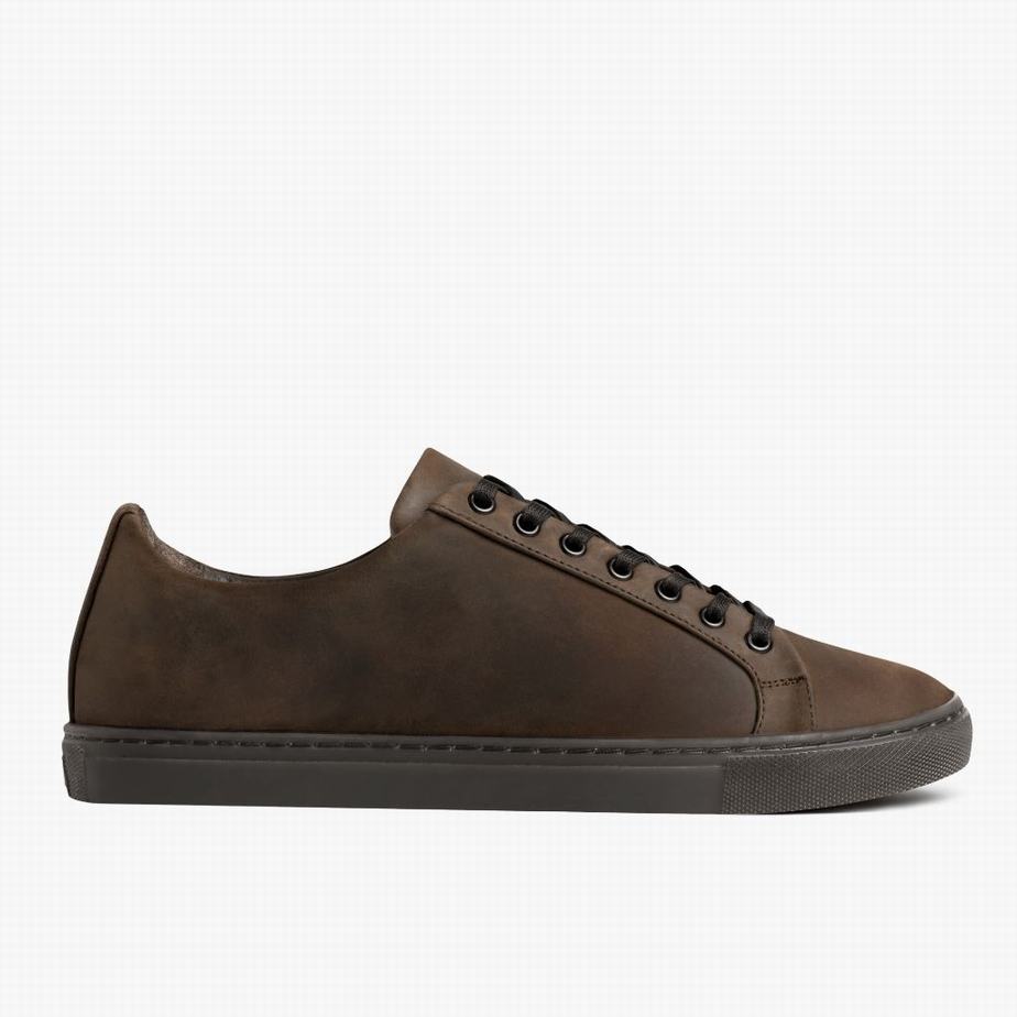 Thursday Boots Premier Men Low-Top Sneakers Brown | UNE6086LZ