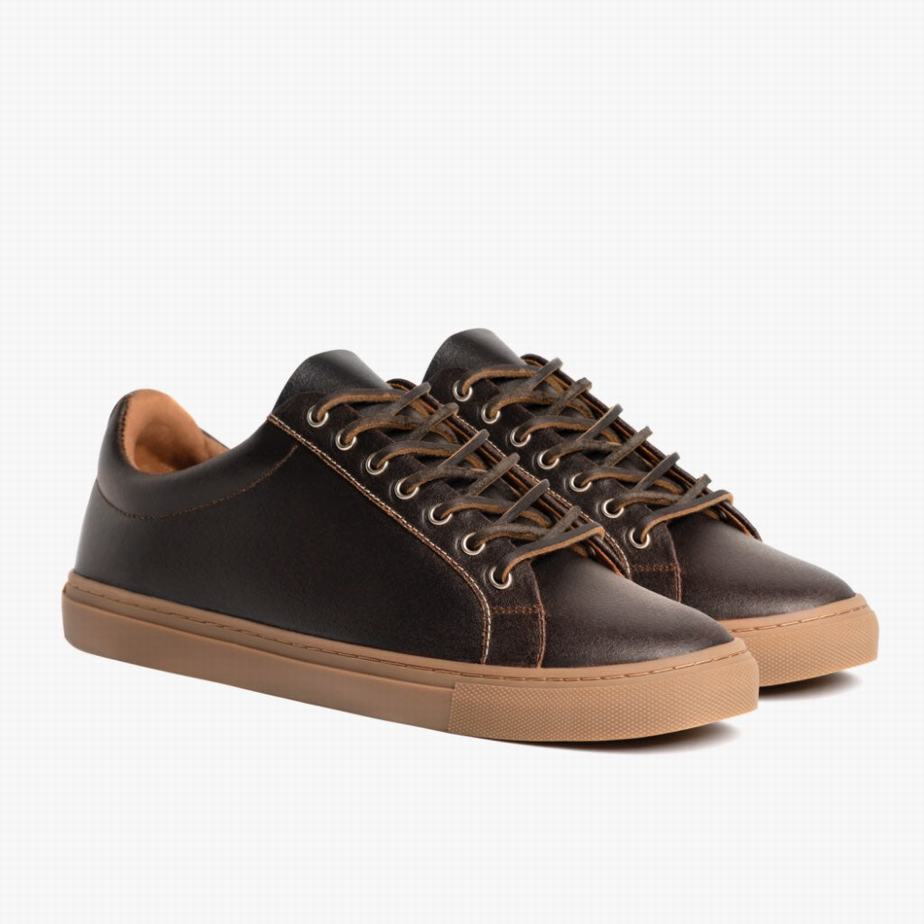 Thursday Boots Premier Men Low-Top Sneakers Cacao | TBE2188CV