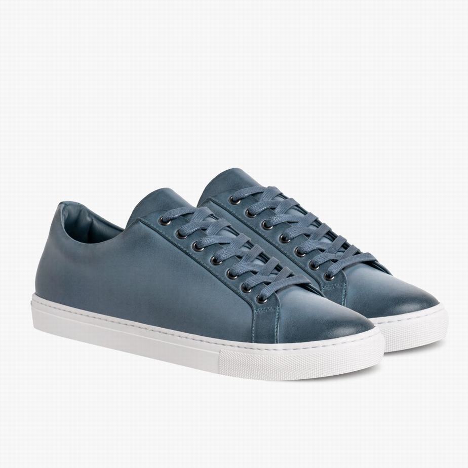 Thursday Boots Premier Women Low-Top Sneakers Indigo | FSE3514SS