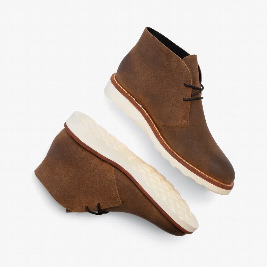 Thursday Boots Scout Men Chukka Boots Safari | QSN1791QJ