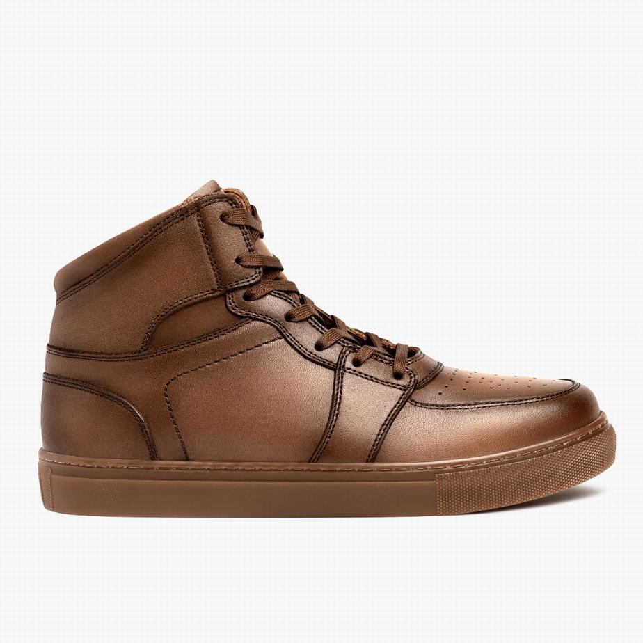 Thursday Boots Showtime Men High-Top Sneakers Brown | TLH6738QC