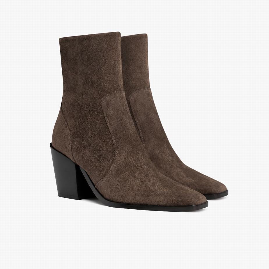 Thursday Boots Soho Zip Women Booties Coffee | CWQ282MW