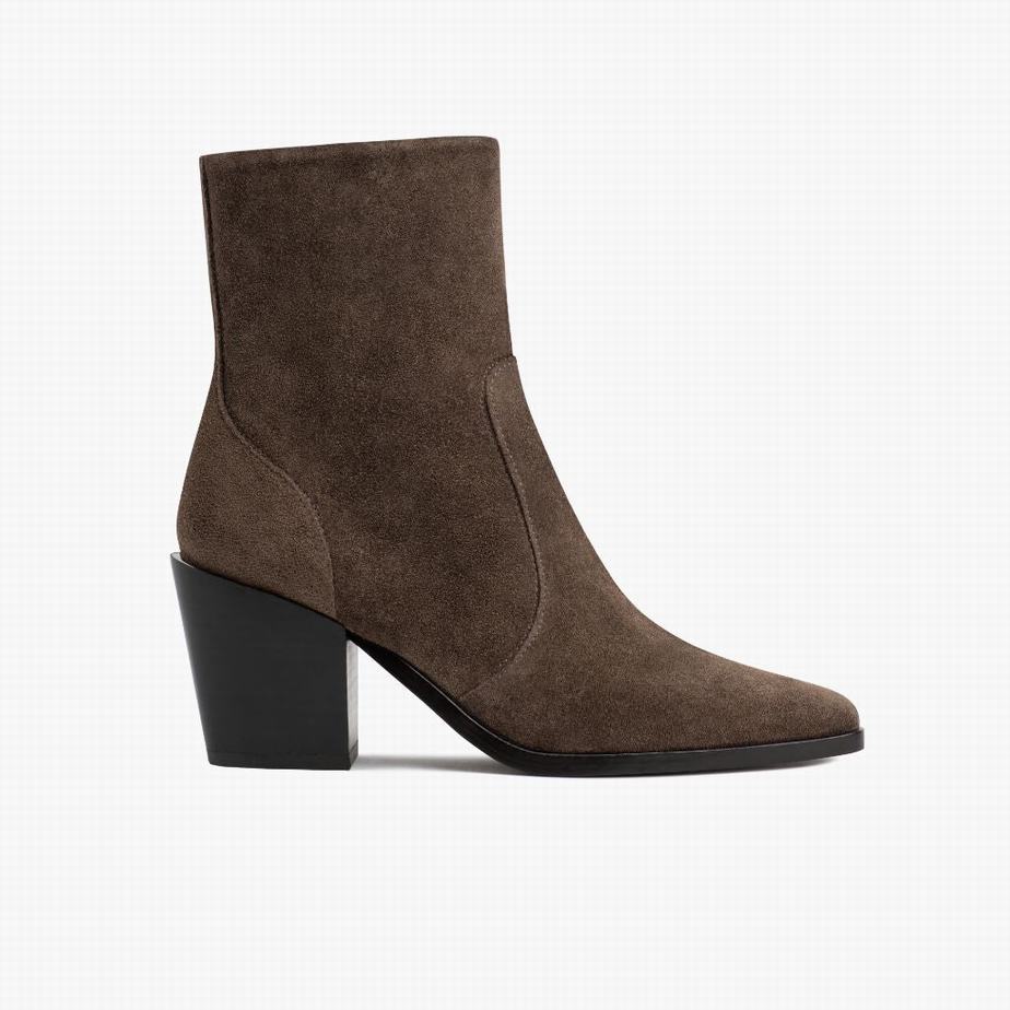 Thursday Boots Soho Zip Women Booties Coffee | CWQ282MW